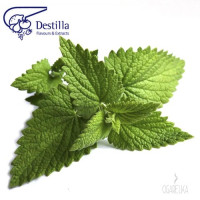 Ароматизатор М'ята [Destilla]