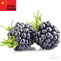 Ароматизатор Blackberry - Ежевика [Xi'an Taima]